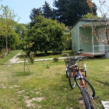 SaklıBahçe Pension Çıralı Extérieur photo