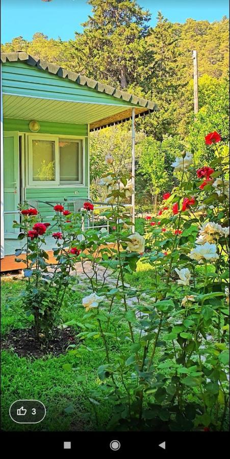 SaklıBahçe Pension Çıralı Extérieur photo