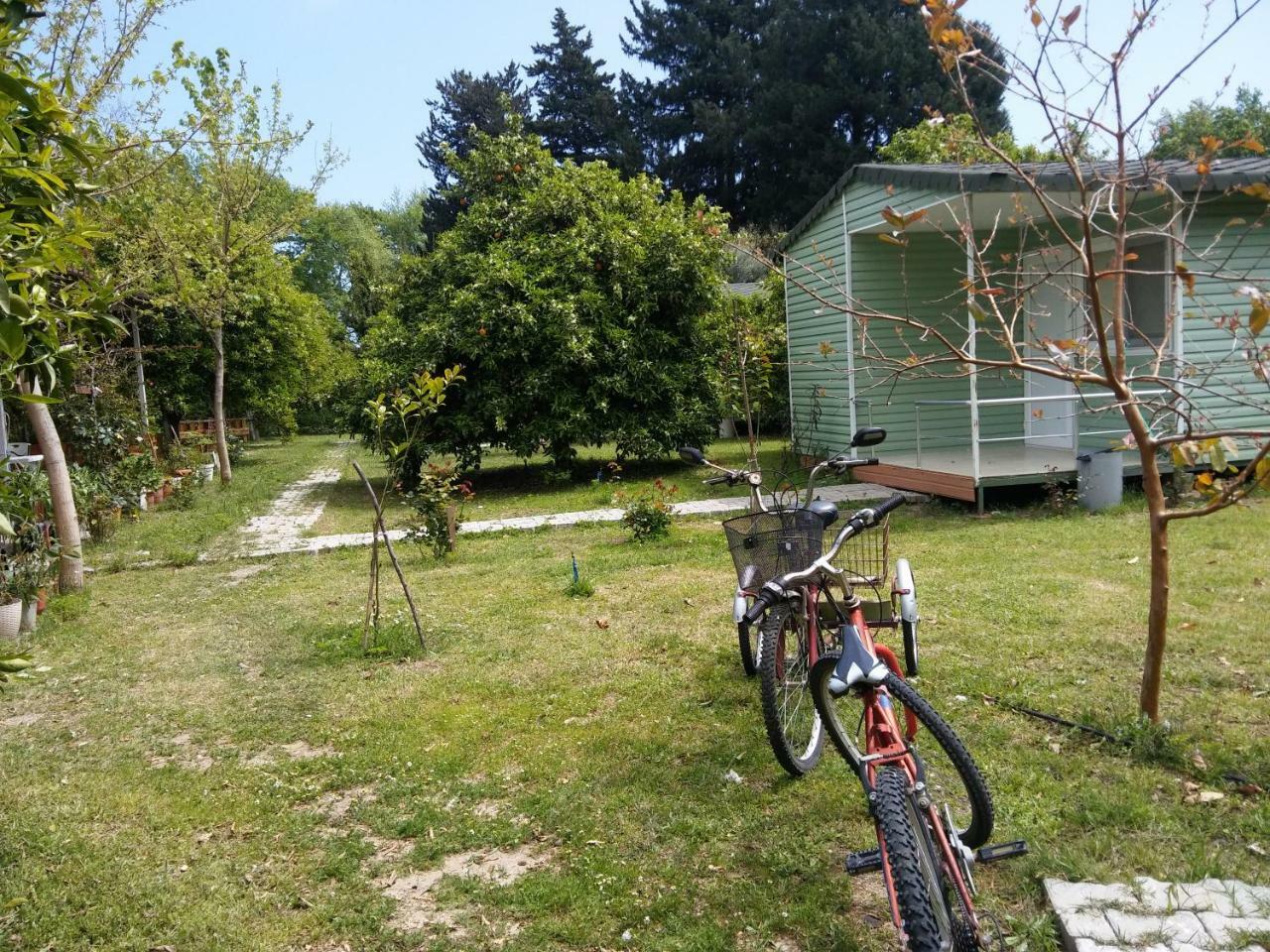 SaklıBahçe Pension Çıralı Extérieur photo