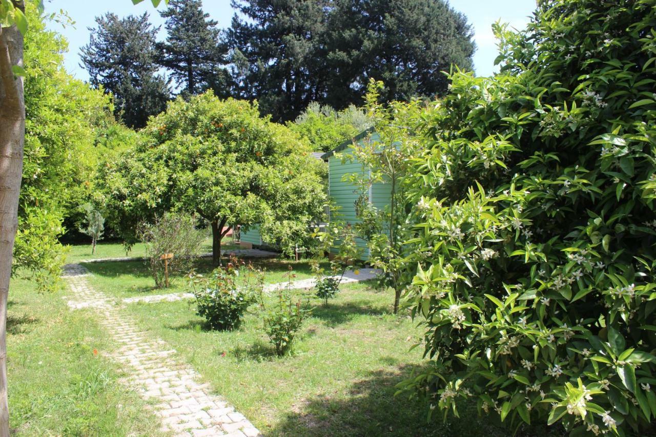 SaklıBahçe Pension Çıralı Extérieur photo