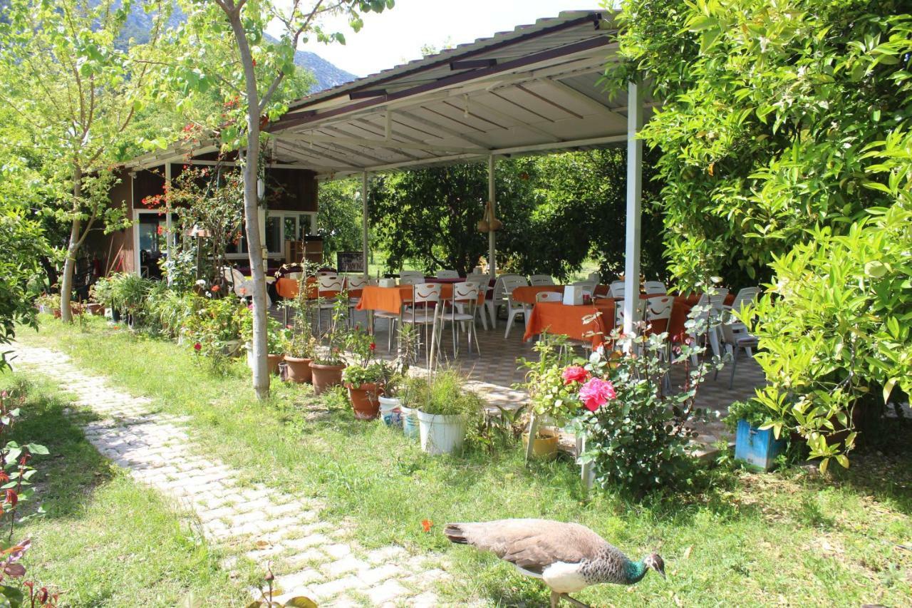 SaklıBahçe Pension Çıralı Extérieur photo