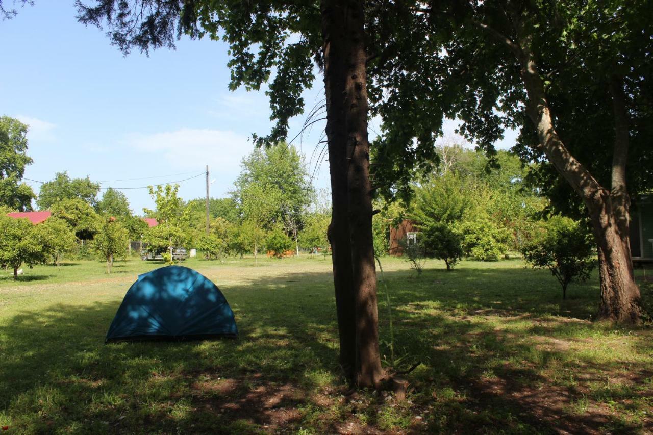 SaklıBahçe Pension Çıralı Extérieur photo