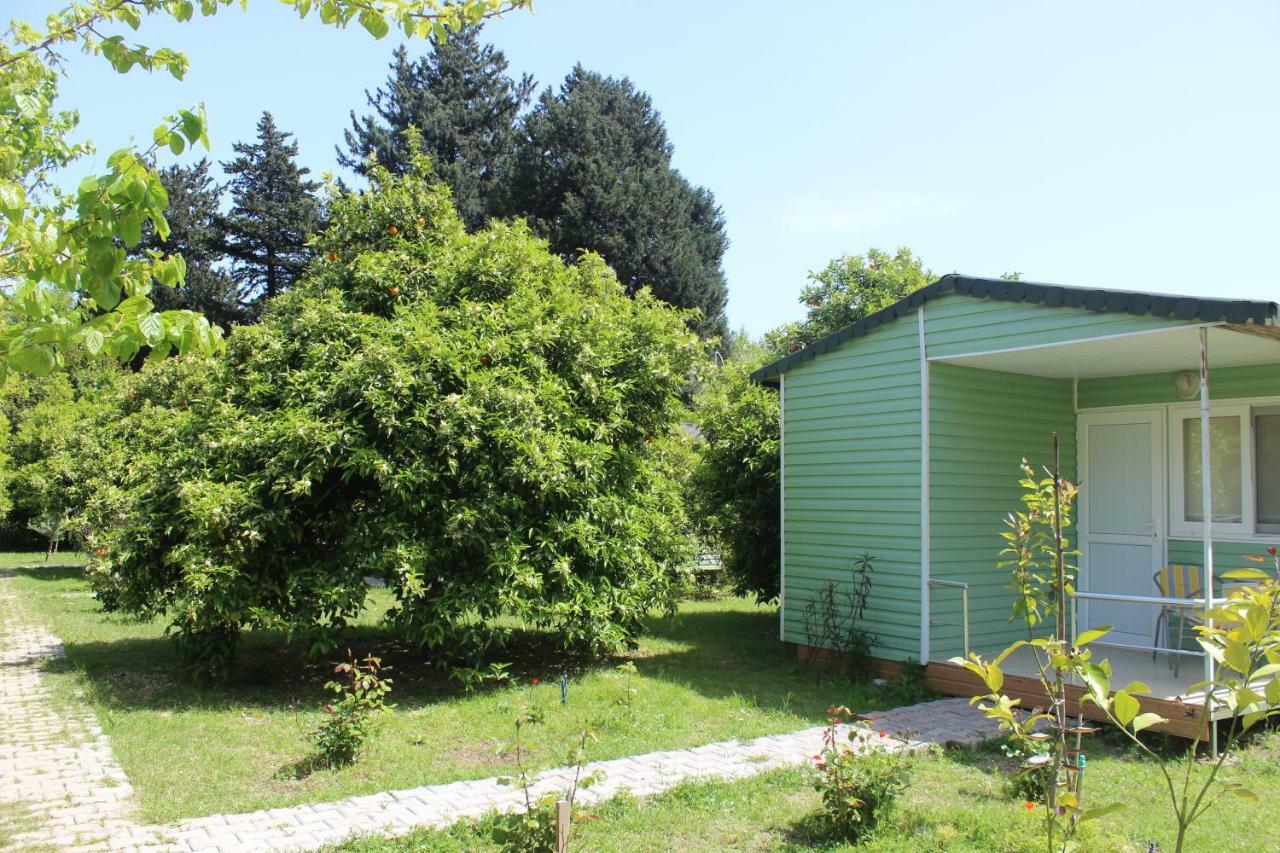 SaklıBahçe Pension Çıralı Extérieur photo