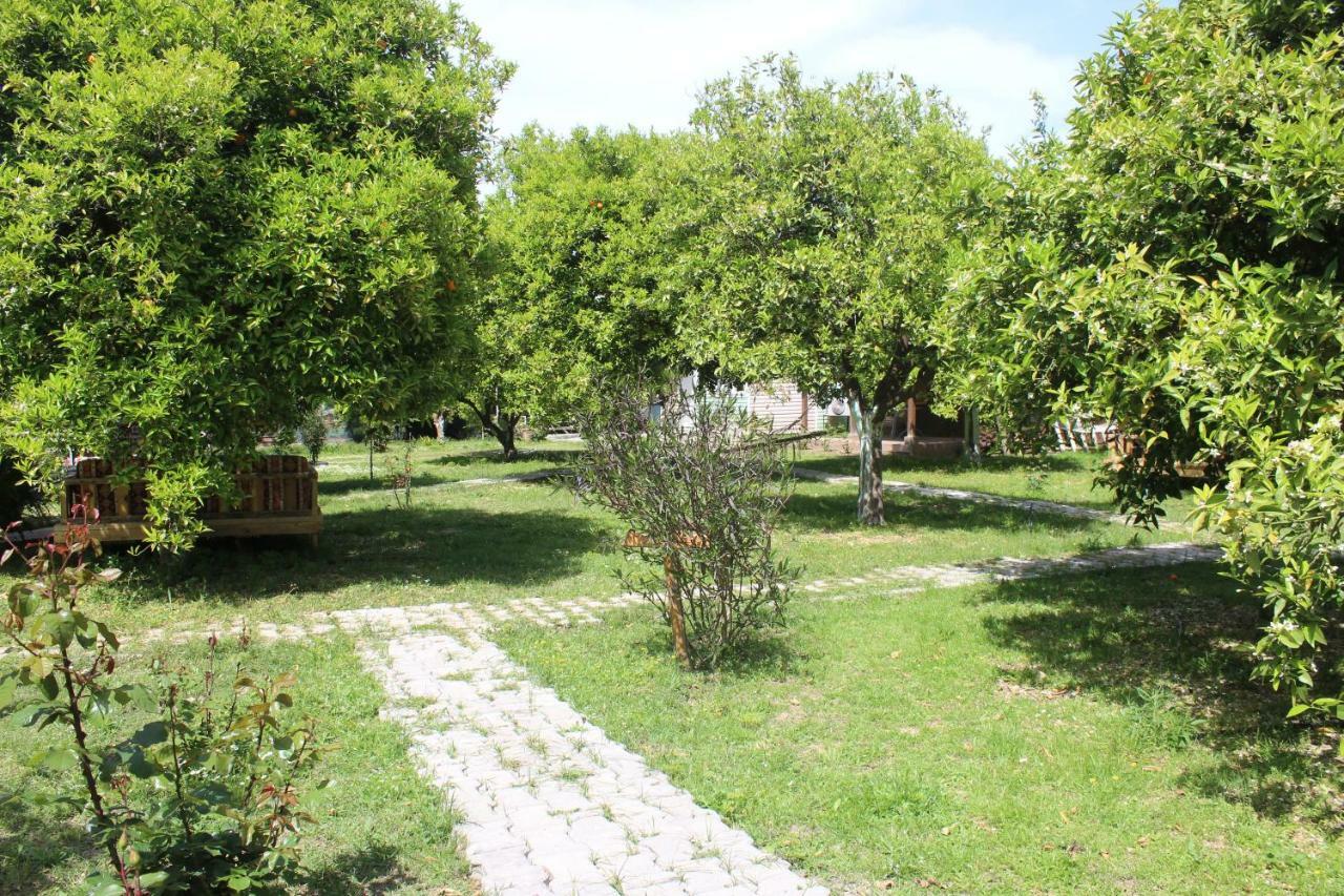 SaklıBahçe Pension Çıralı Extérieur photo